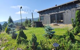 Panoramic Cabin Stânceni